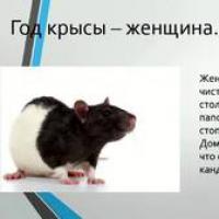 Характер, особенности и совместимость родившихся в год огненной крысы Черная водяная крыса