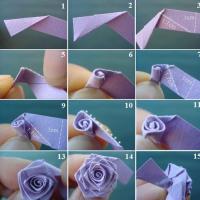 Оригами из бумаги роза. Схема сборки. Как сделать розу из бумаги Как сделать из бумаги розу оригами схема